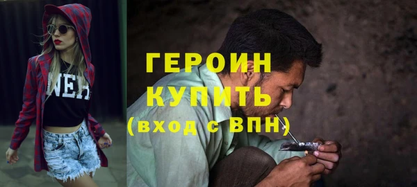 индика Приозерск