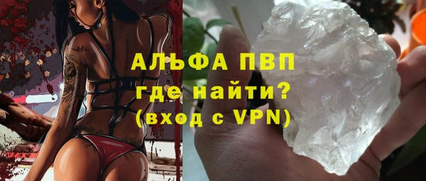 индика Приозерск